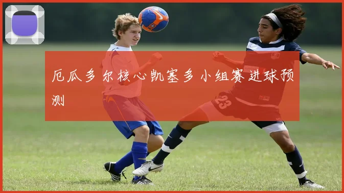 厄瓜多尔核心凯塞多小组赛进球预测