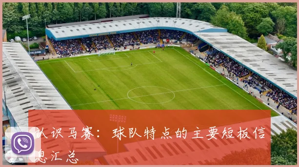 认识马赛:球队特点的主要短板信息汇总
