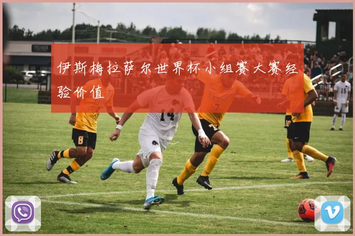 伊斯梅拉萨尔世界杯小组赛大赛经验价值