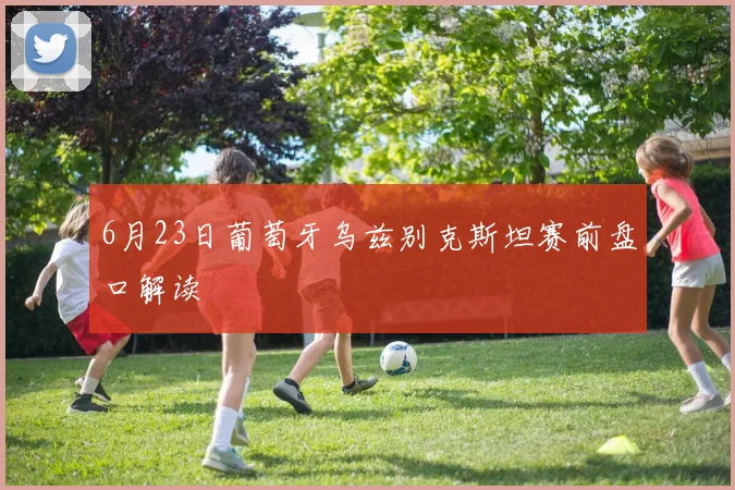 6月23日葡萄牙乌兹别克斯坦赛前盘口解读