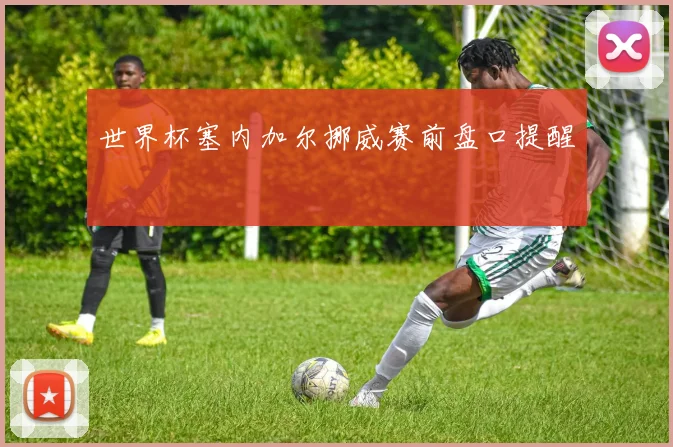 世界杯塞内加尔挪威赛前盘口提醒