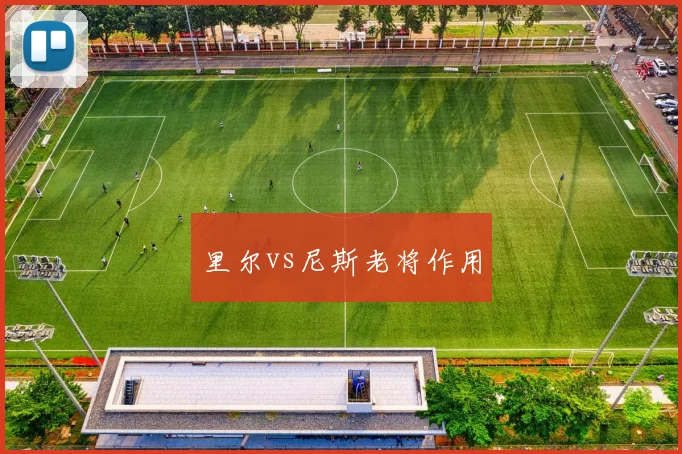 里尔vs尼斯老将作用