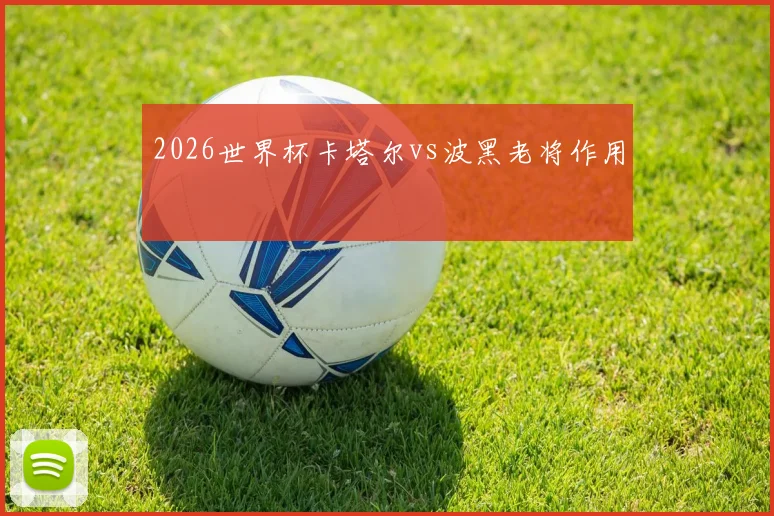 2026世界杯卡塔尔vs波黑老将作用