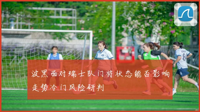 波黑面对瑞士队门将状态能否影响走势冷门风险研判