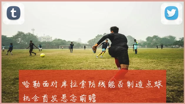 哈勒面对库拉索防线能否制造点球机会首发悬念前瞻