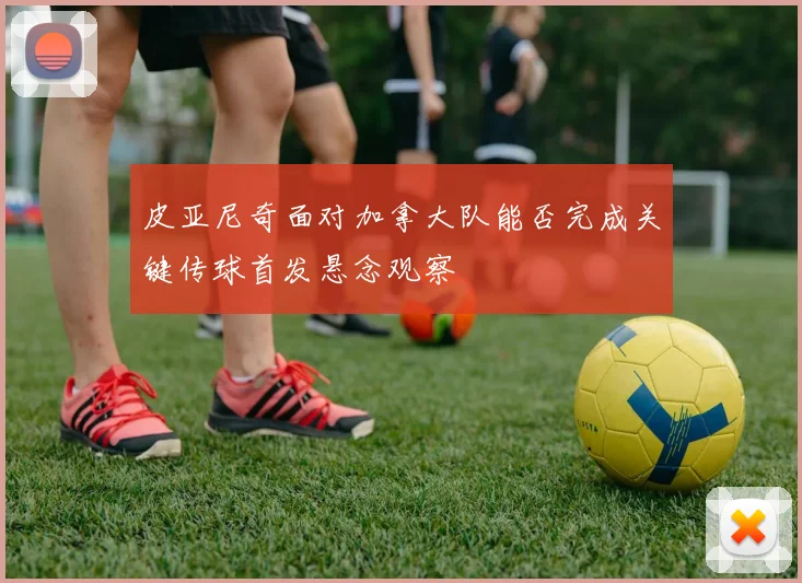 皮亚尼奇面对加拿大队能否完成关键传球首发悬念观察