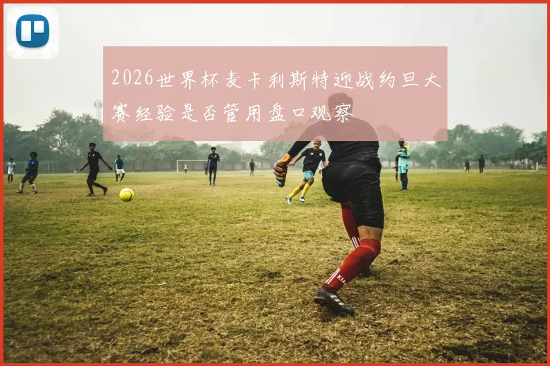2026世界杯麦卡利斯特迎战约旦大赛经验是否管用盘口观察